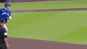 Home Run Celebration GIF by Toronto Blue Jays