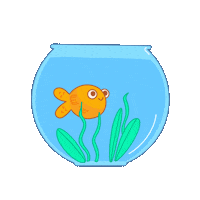Stefisundays fish swimming swim fishy Sticker