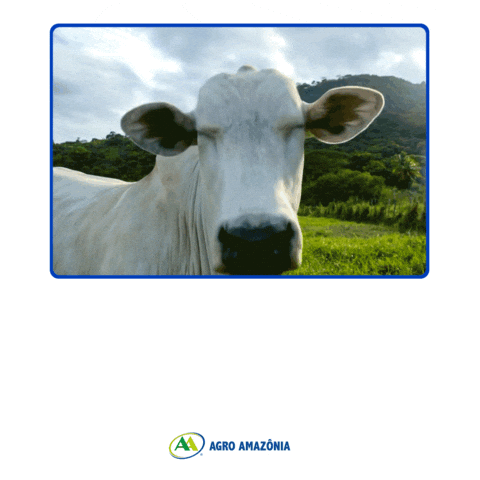 Sticker by Agro Amazônia