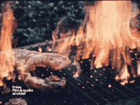 Fire This Is Fine GIF by Fries Film & Audio Archief