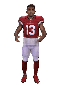 Arizona Cardinals Stickers Sticker by NFL