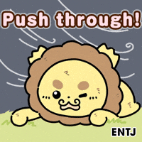 Lion Love GIF