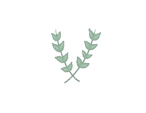 Madilest giphyupload green plant madilest lierre Sticker