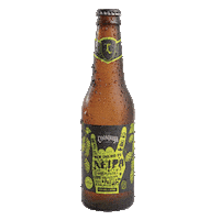 Festa Cervejaria Sticker by Louvada