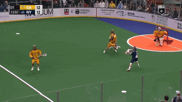 Celebrate New York GIF by New York Riptide