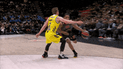 Real Madrid Sport GIF by EuroLeague