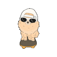Dog Summer Sticker