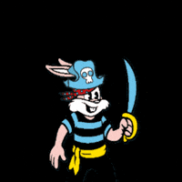 Carnaval Pirate GIF by RATP