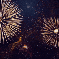 NSWAutomation happy festival 2025 newyear GIF