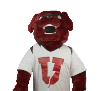Mascot Charger Sticker by Union College