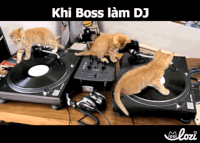 tumy GIF by Lozi Singapore Co.