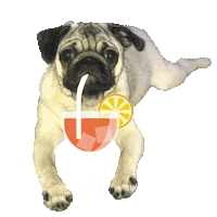 party friday Sticker by Pedant