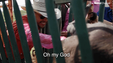 Carpe Dm With Juanpa GIF by The Roku Channel