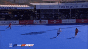 Field Hockey Sport GIF by Y1Hockey