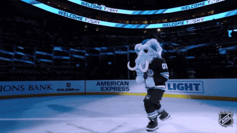 Happy National Hockey League GIF by NHL