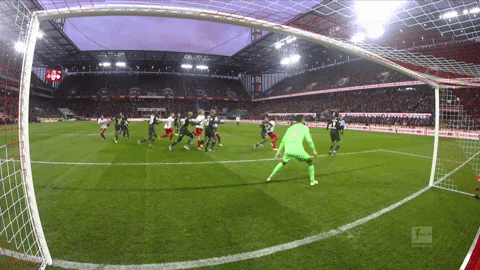 1 Fc Cologne Football GIF by 1. FC Köln
