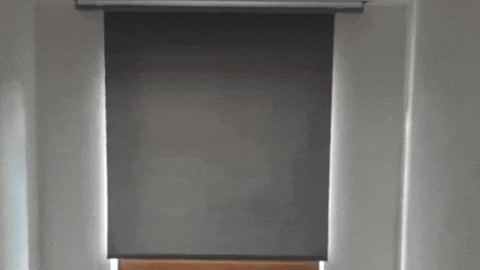 wynbeesolutions giphyupload GIF