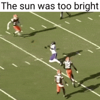 Baltimore Ravens GIF