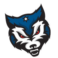 School Stars Sticker by YES Prep