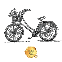 Keunebrasil Sticker by Keune Haircosmetics