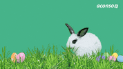 Human Resources Easter GIF by aconso AG