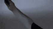 dark helmet celebrity GIF by Brimstone (The Grindhouse Radio, Hound Comics)