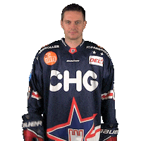 Happy Ice Hockey Sticker by Ravensburg Towerstars