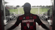 University Of Louisville Go Cards GIF by Louisville Cardinals