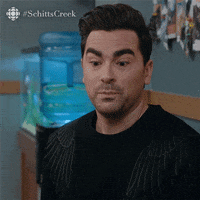 schitts creek comedy GIF by CBC