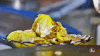 chinese food pancake GIF