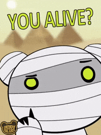 Whats Up Hello GIF by DeddyBears