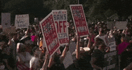 Abortion GIF by GIPHY News