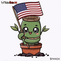 World Cup Usa GIF by PandaMania