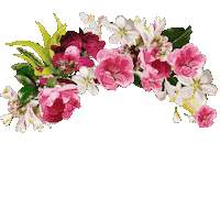 Hair Crown Sticker by Aveda