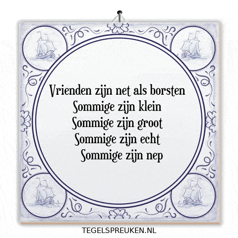 Nl Wijsheid GIF by Tegelspreuken.nl