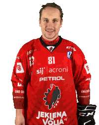 Steelers Sticker by HDD SIJ Acroni Jesenice