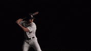 University Of Louisville Baseball GIF by Louisville Cardinals