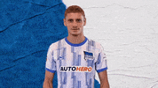Bundesliga Berlin GIF by Hertha BSC