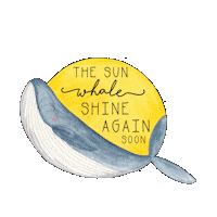 Sunshine Whale Sticker
