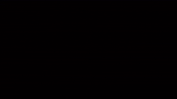GIF by Payne Records