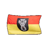 ju-menden ju fahne sauerland menden Sticker