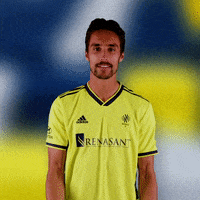 Major League Soccer Football GIF by Nashville SC