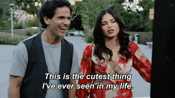 FlirtyDanceFOX love dance cute dancing GIF