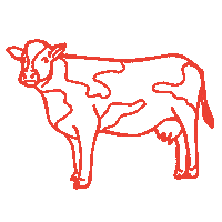 Icecream Staychill Sticker by chill bros