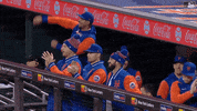 Celebrate Ny Mets GIF by New York Mets