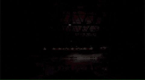 cornell university GIF