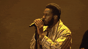 Jimmy Fallon Concert GIF by The Tonight Show Starring Jimmy Fallon