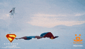 Look Up GIF by Best Friends Animal Society