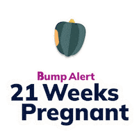 Pregnancy Expecting Sticker by The Bump