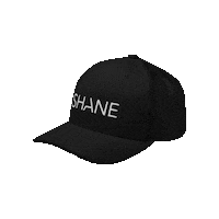 Shop Swag Sticker by SHANE